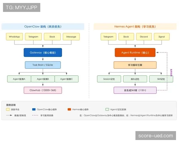 人工草场对比赛判罚有何特别规定？规则全面拆解解析